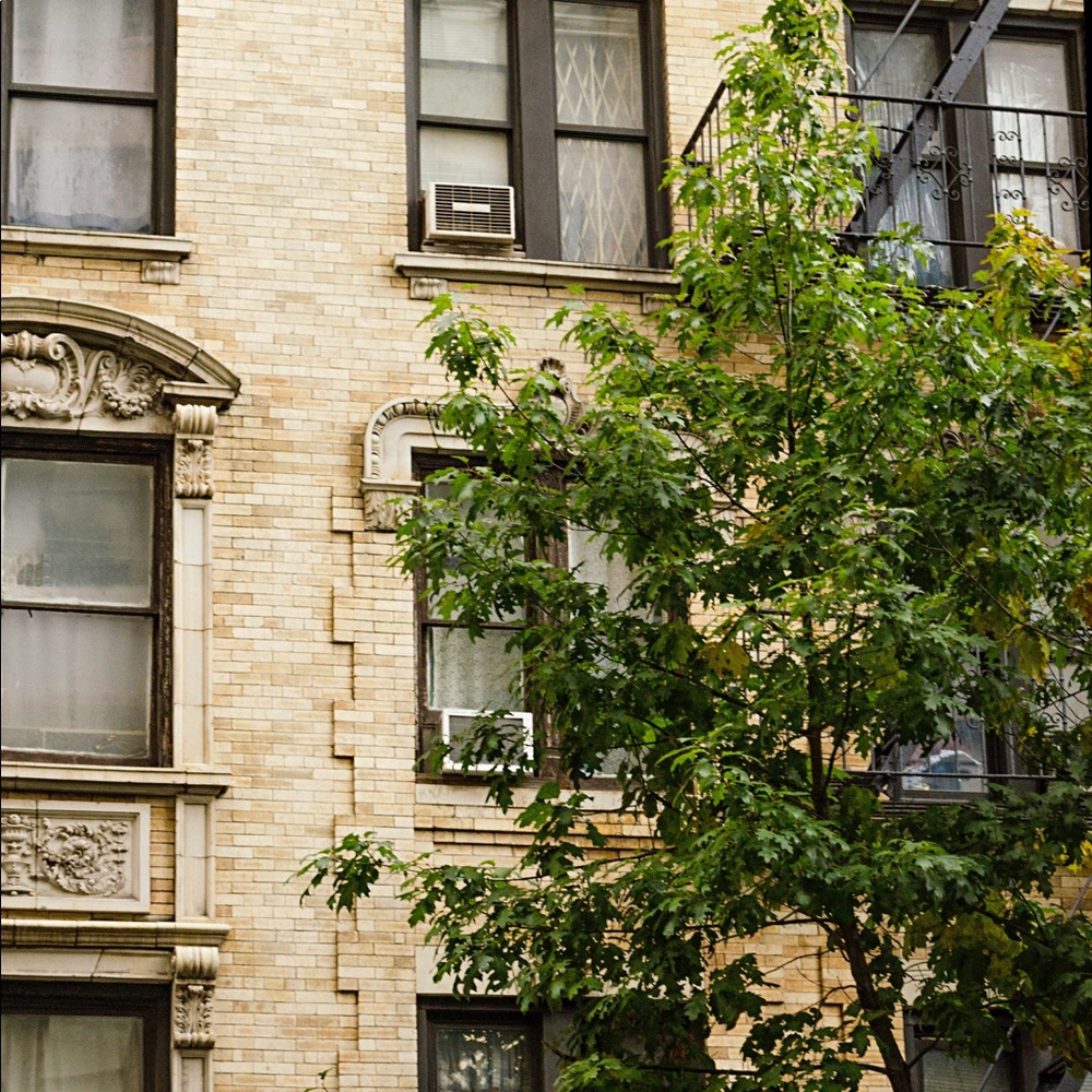 ✨🌟NEW ITEMS🌟✨